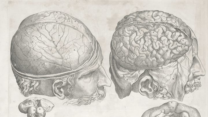 Immersive sound design, or How to wear your brain like a hat